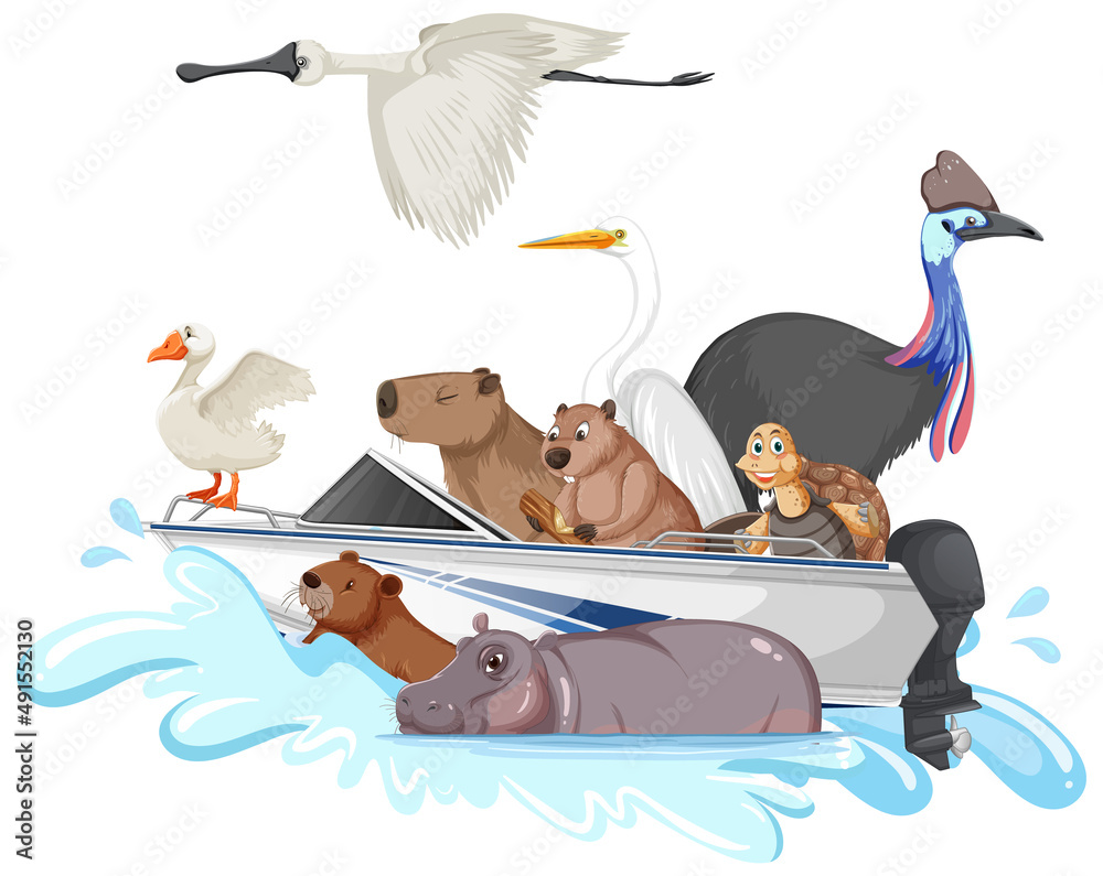 船上有很多动物