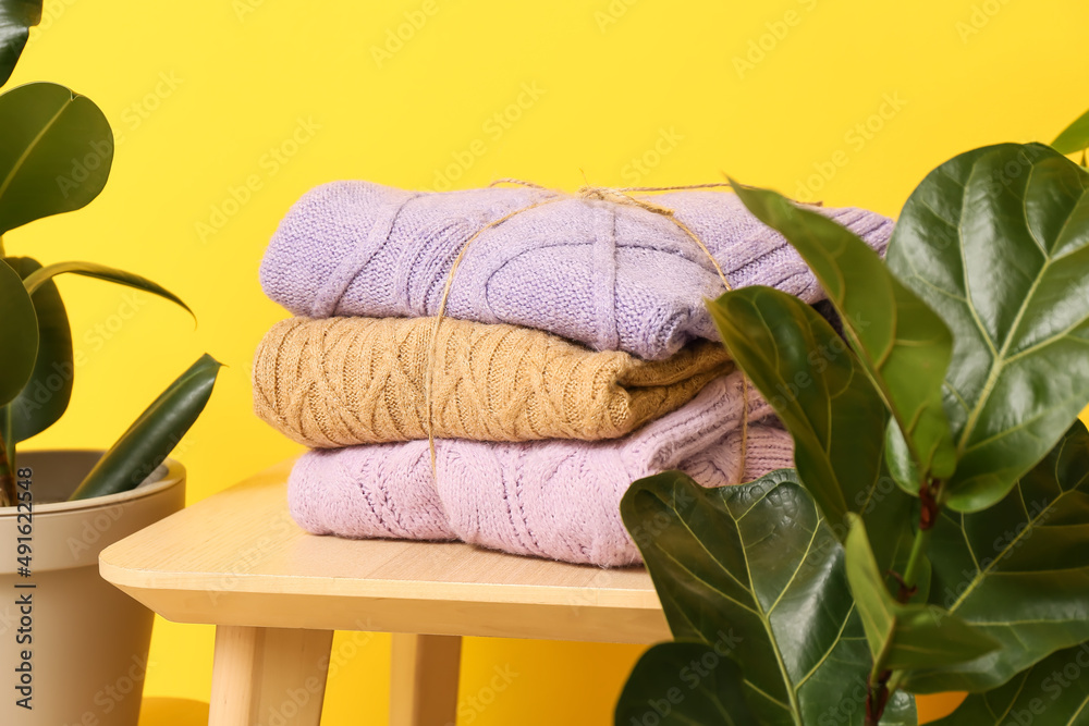 桌子上的一堆针织毛衣和黄色墙壁附近的室内植物