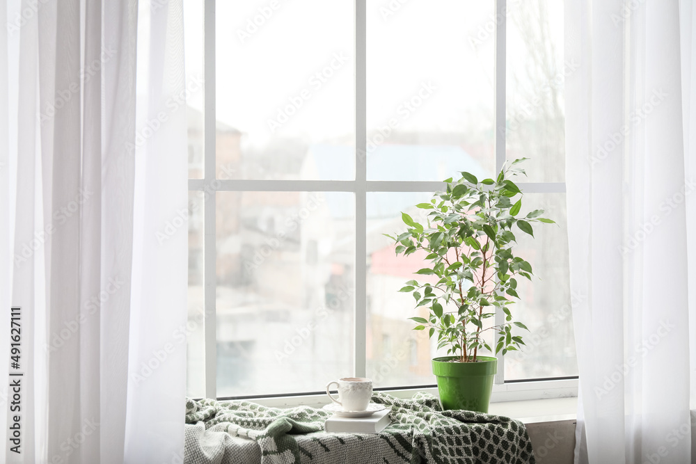绿色室内植物、一杯茶、书和窗台上的格子