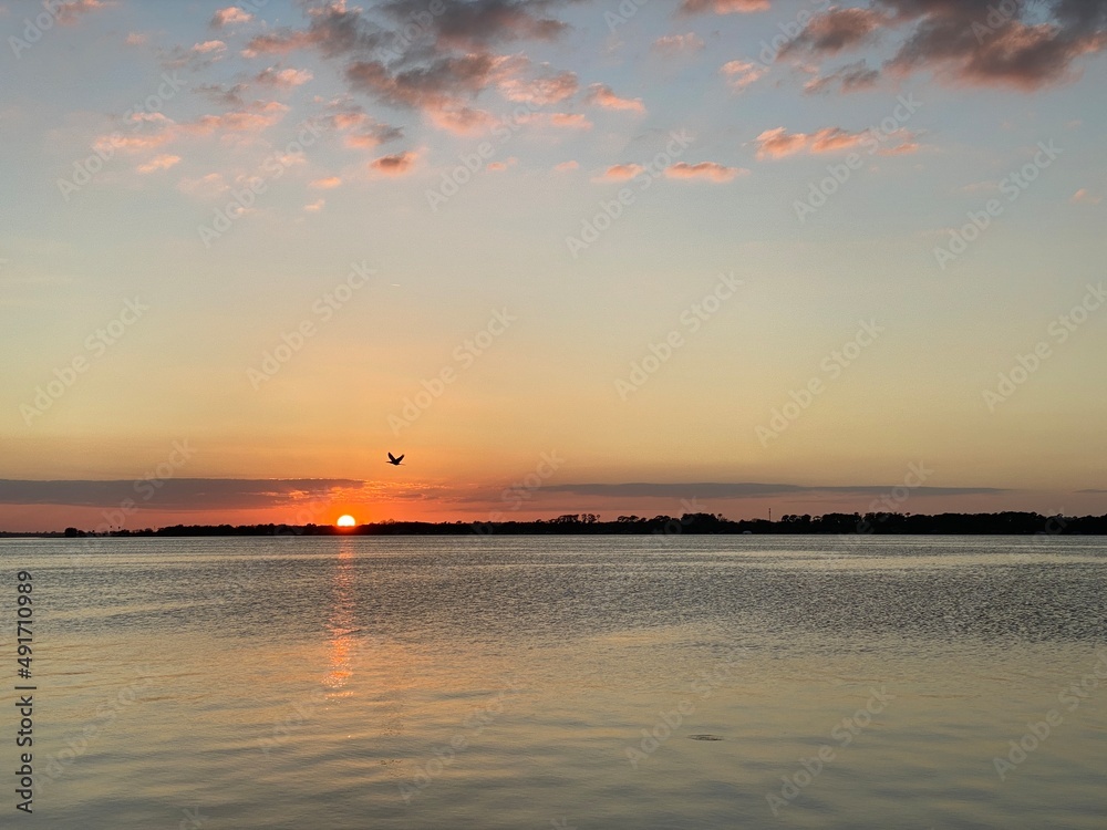 湖面上的日落，远处的鸟影飞过