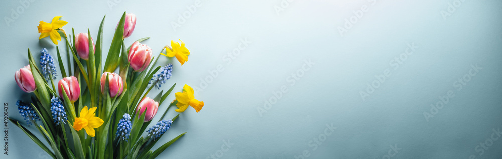 蓝色背景下粉色郁金香、黄色水仙花和蓝色风信子的俯视图