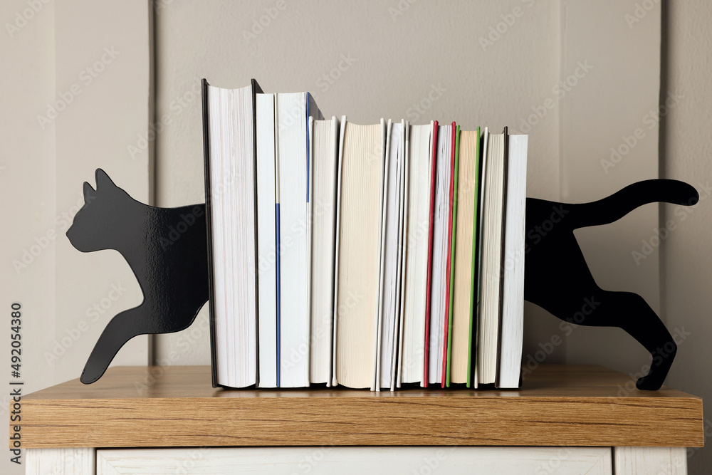 室内桌子上有书的极简主义猫书柜