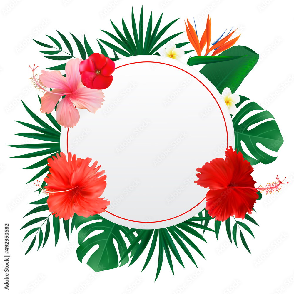 抽象的自然框架，热带棕榈和梦蝶叶，白色上的奇异花朵。Illu