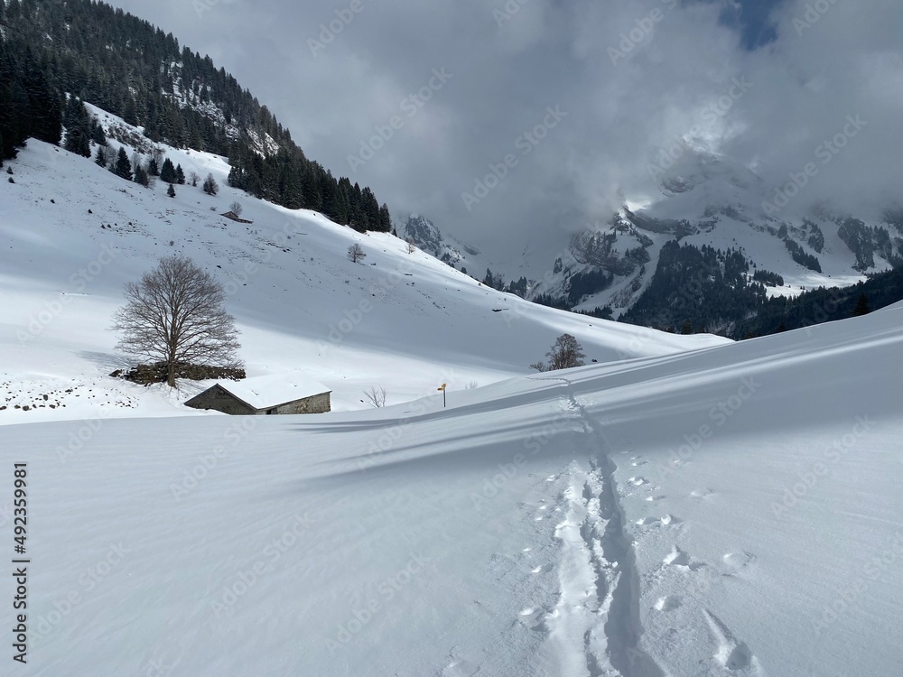 美妙的冬季徒步旅行路线和阿尔卑斯山脉斜坡上的痕迹以及fr
