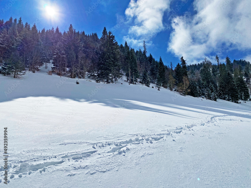 美妙的冬季徒步旅行路线和阿尔卑斯山脉斜坡上的痕迹以及fr