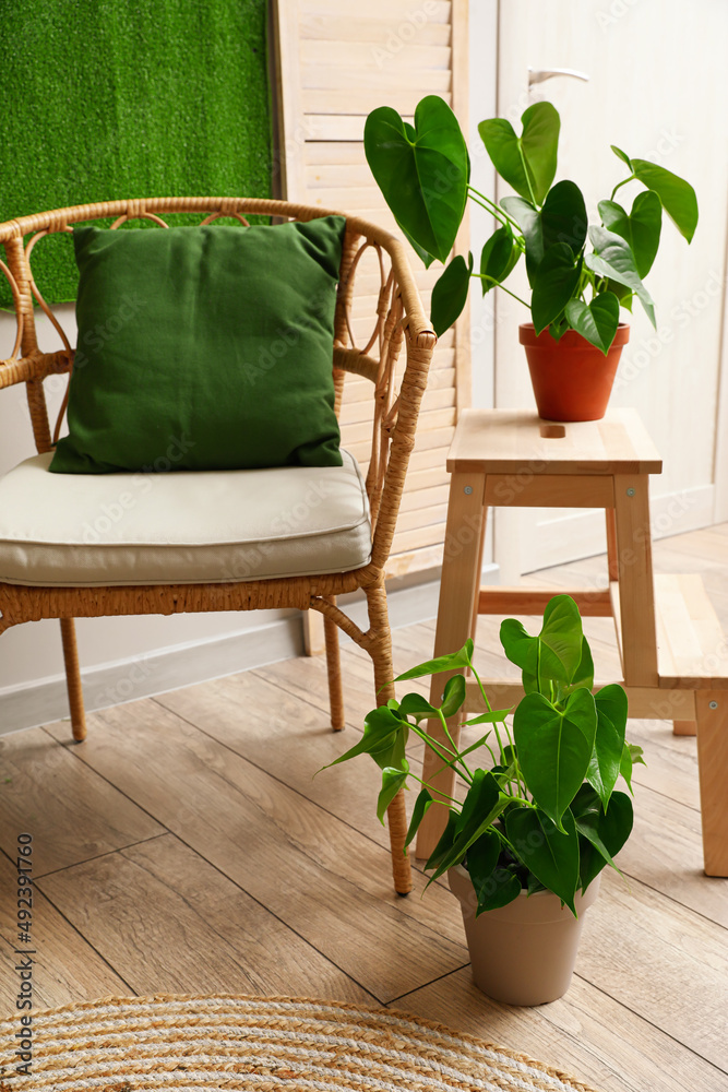 Wicker armchair and step stool with houseplants in living room
