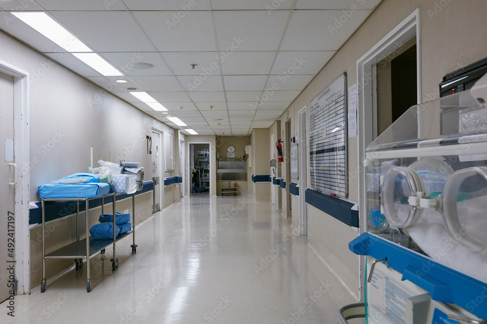 完美产后护理的通道。医院新生儿病房空走廊的照片