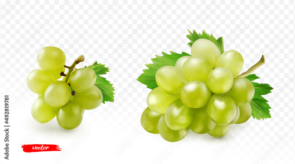 一组隔离在白色葡萄上的绿色葡萄。黄色葡萄的真实矢量图。