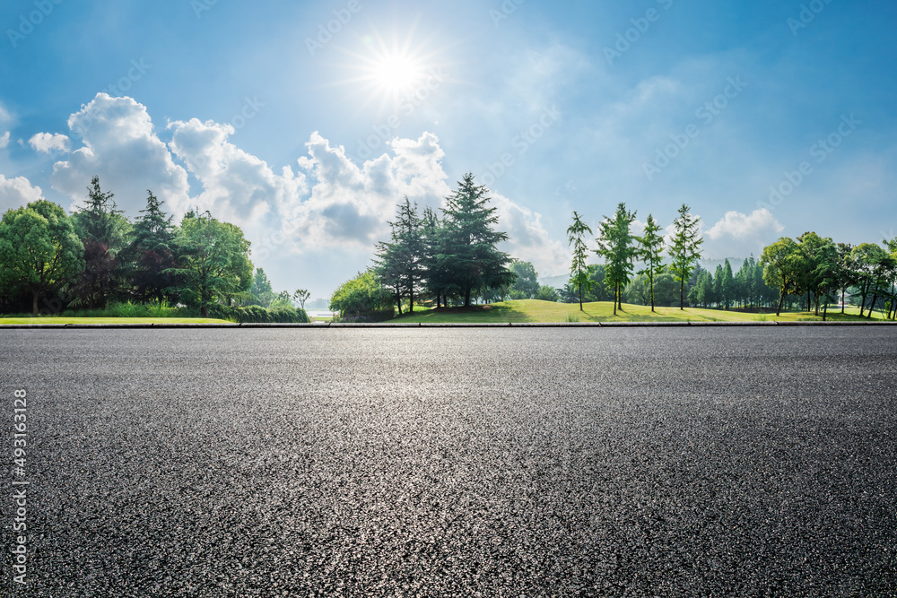 Asphalt road and green forest landscape on a sunny day