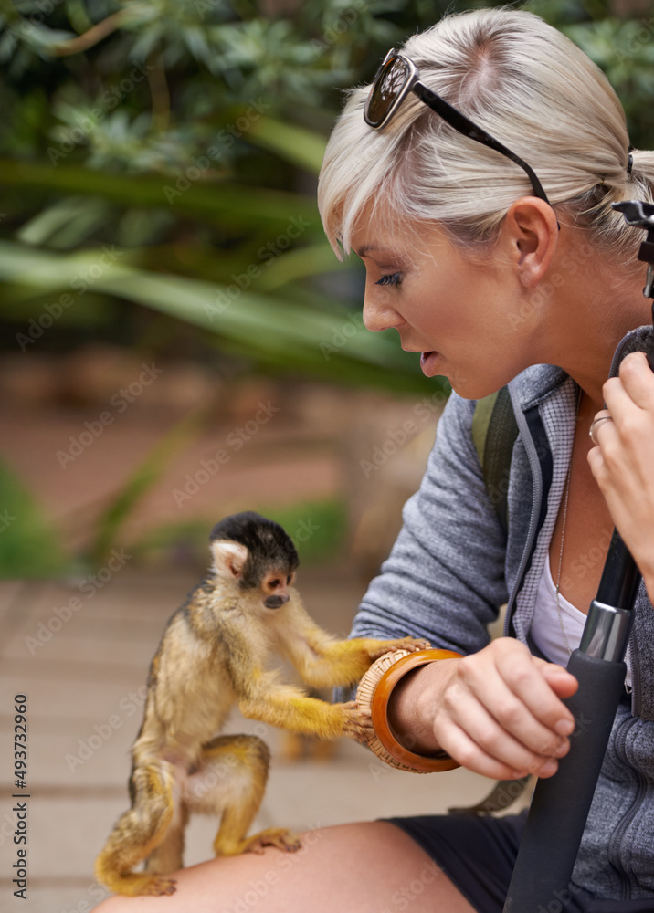 与大自然接触。一名年轻女子在wi与一只小猴子互动的裁剪镜头
