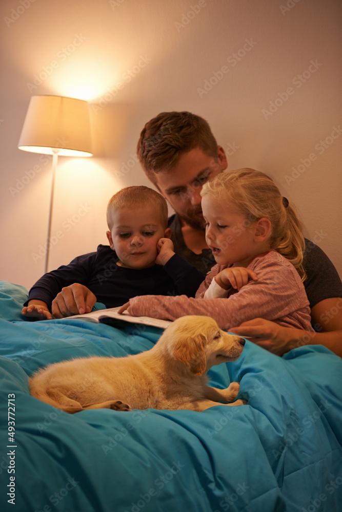 Everybody loves a good story. A father reading a bedtime story to his kids.