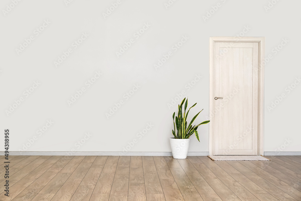 大空房间内带室内植物、门和垫子的浅色墙视图