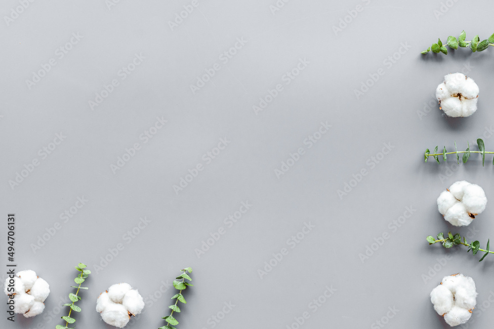 花朵和树叶布局。灰色背景下桉树树枝附近的精致棉花俯视图，连拍