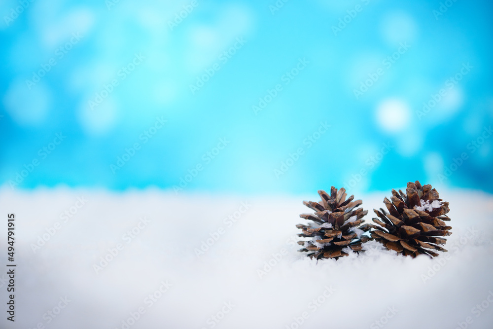 祝你圣诞快乐。松果躺在雪地上。