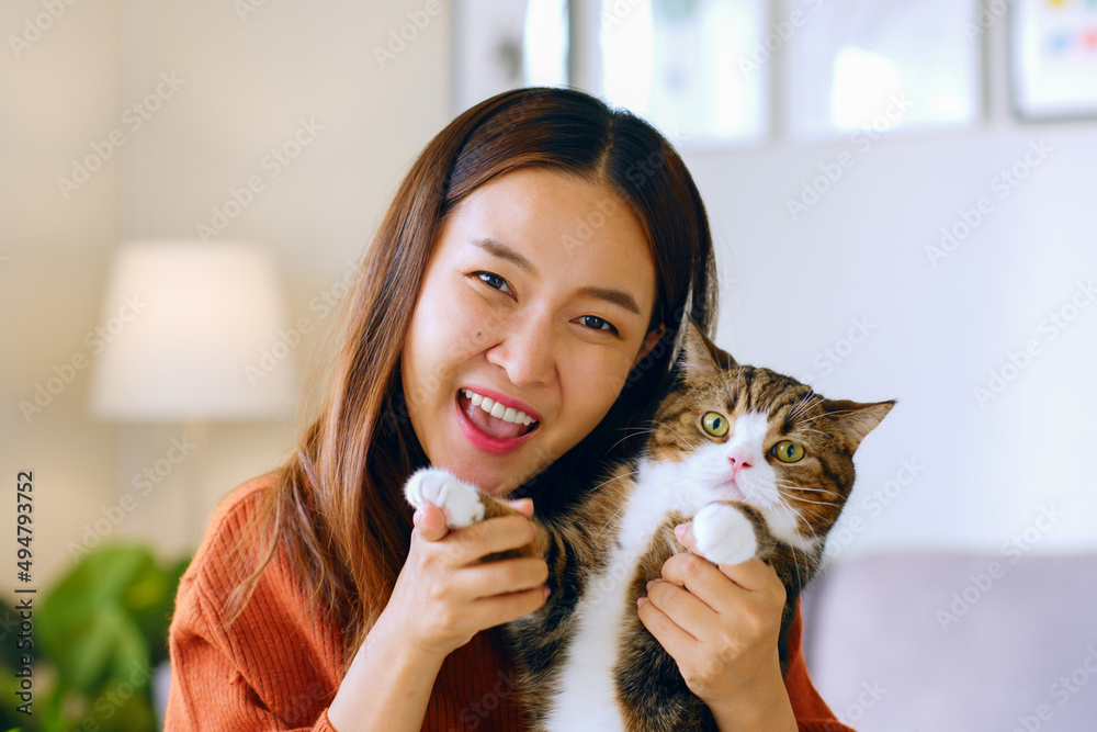 年轻的亚洲女人和她的宠物，猫在面对面聊天，在家视频通话，看着摄像头vi