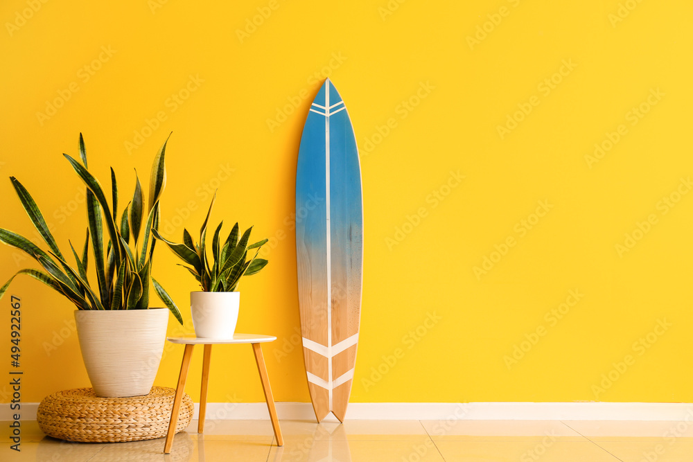 黄色墙壁附近的冲浪板、桌子和室内植物