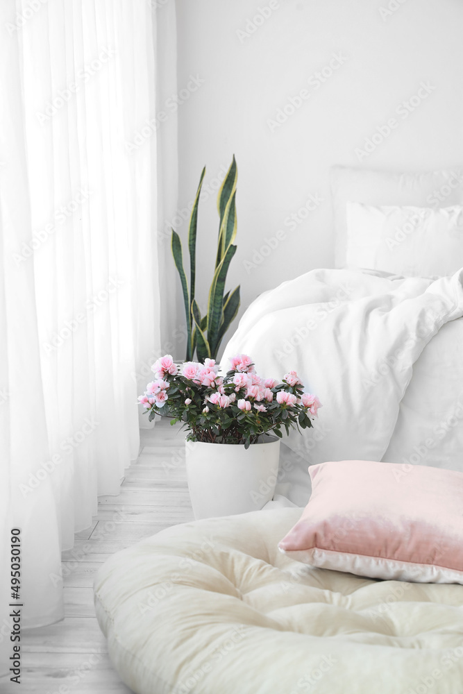 明亮房间里靠近床的美丽秋海棠花