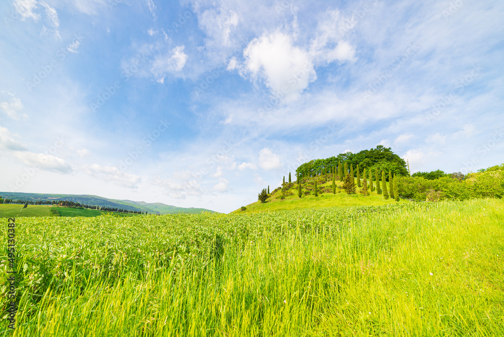 意大利托斯卡纳沃尔泰拉谷独特的绿色景观。迷人的天空和落日余晖