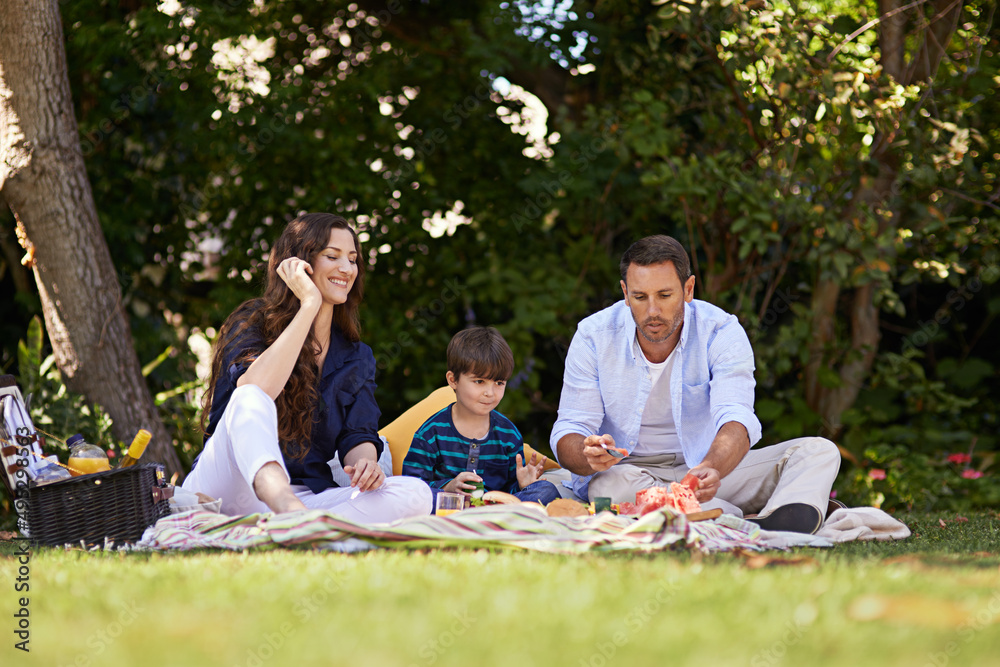 野餐是为夏天制作的。一家人一起野餐的照片。
