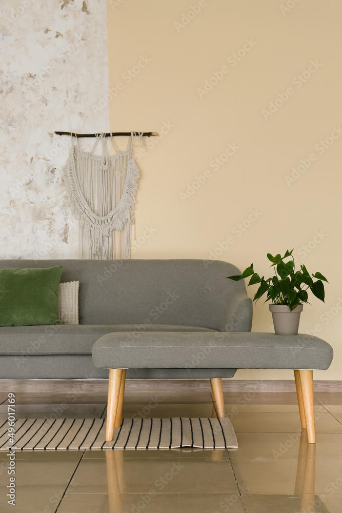带时尚沙发和室内植物的现代客厅内部
