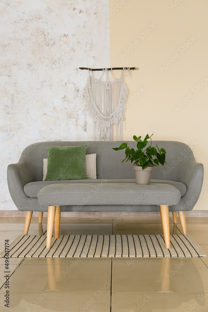 带时尚沙发和室内植物的现代客厅内部