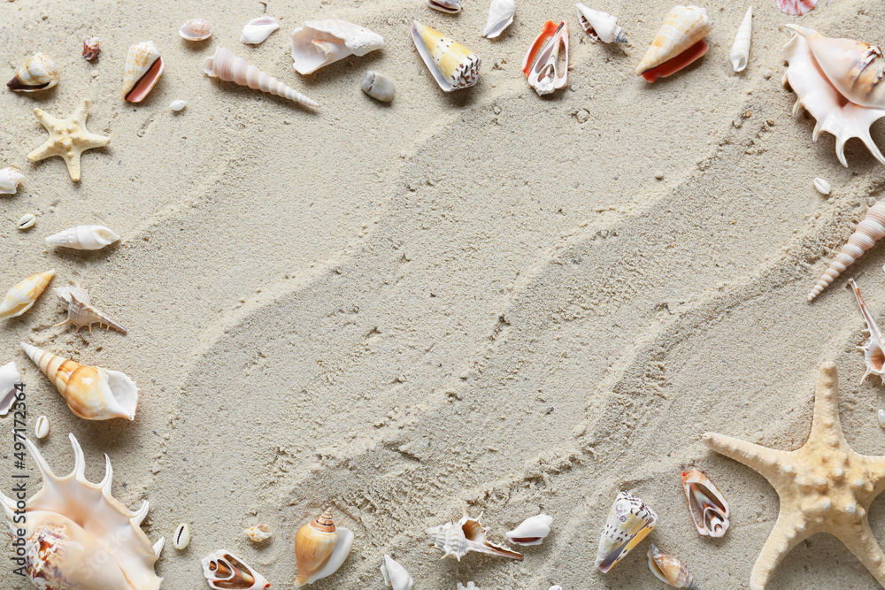 由海滩沙滩上许多不同的贝壳和海星制成的框架