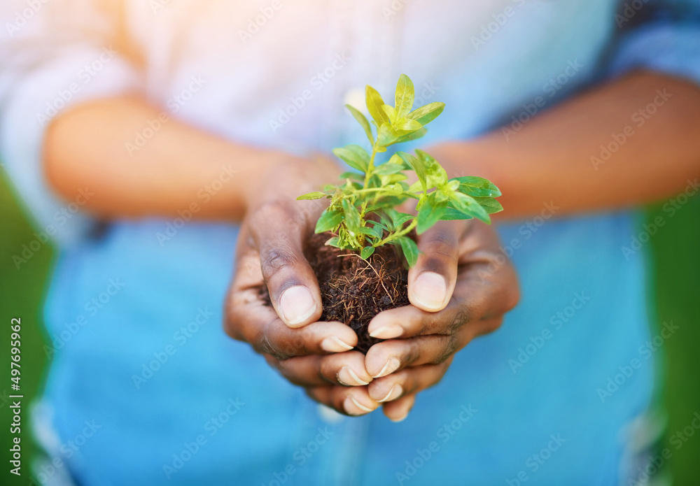 保护环境。一个人拿着一株生长在土壤中的植物的镜头。