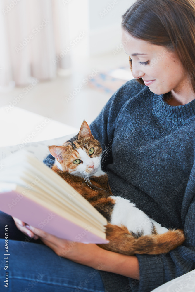 幸福是一只毛茸茸的猫和一本很棒的书。一个年轻女人带着猫看书的镜头。