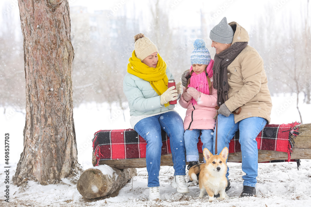 下雪的冬日，小女孩、带着保温瓶的爷爷奶奶和柯基犬在公园里