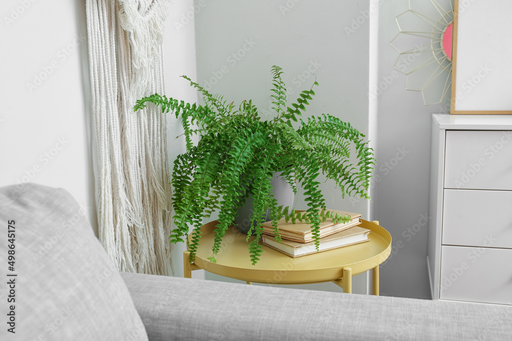 漂亮的室内植物和白墙附近桌子上的书
