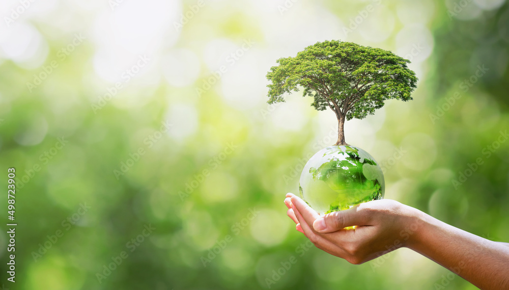 手持玻璃地球仪，带植树和模糊的绿色自然生态概念