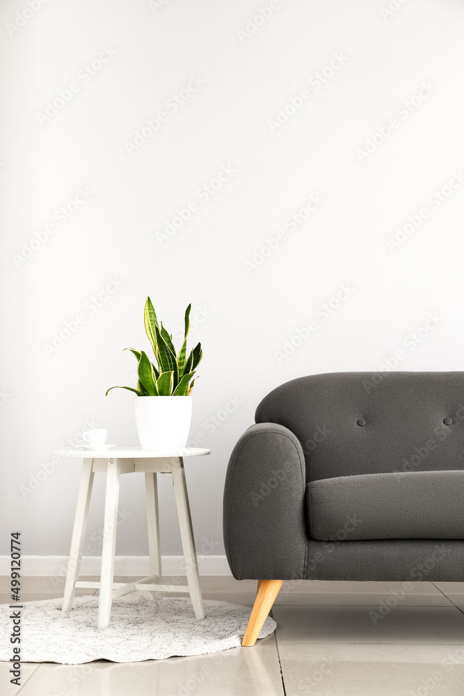 Stylish sofa and houseplant on table near light wall