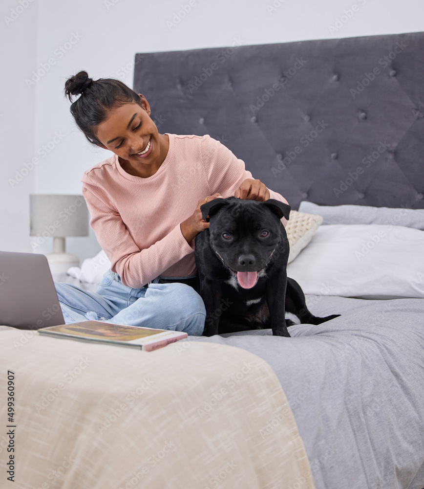 Hes a good boy. Full length shot of an attractive young woman petting her dog while using her laptop