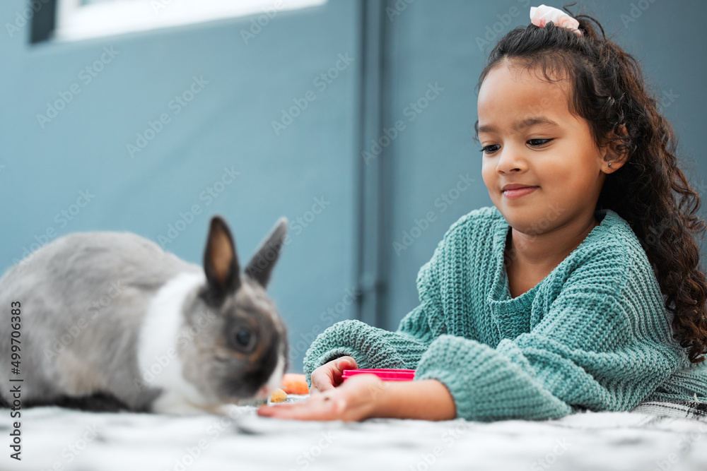 这是一个款待。一个可爱的小女孩在家喂她的宠物兔子的照片。