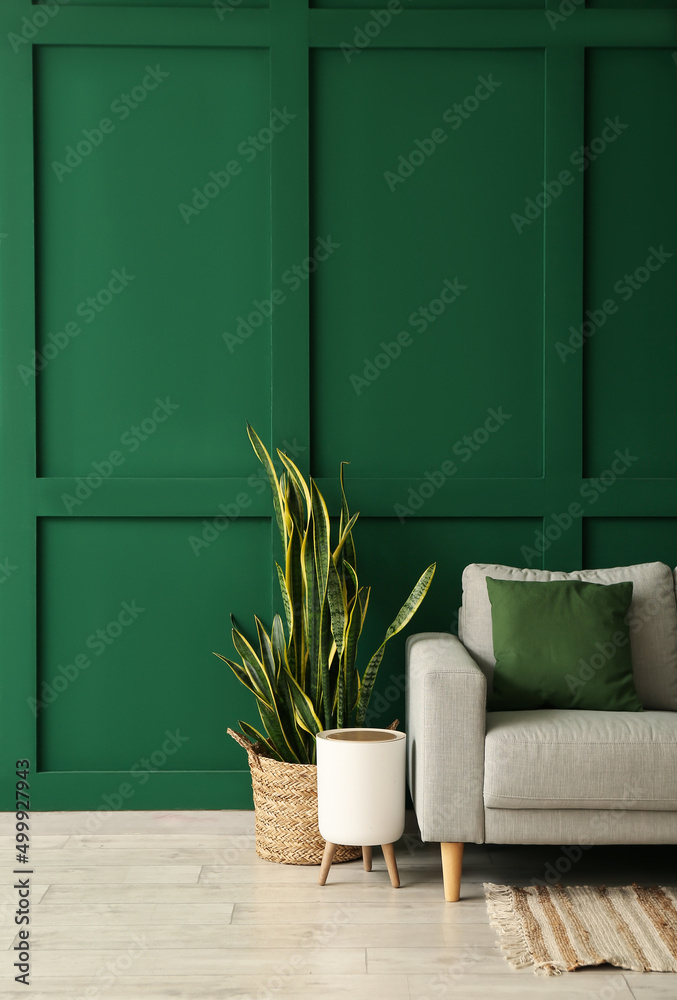 靠近绿色墙壁的舒适沙发和室内植物