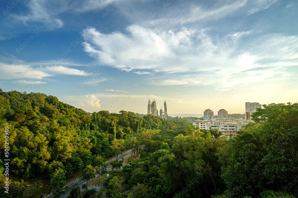 从新加坡亨德森波浪看到吉宝湾神奇的森林景观。绿色走廊覆盖着
