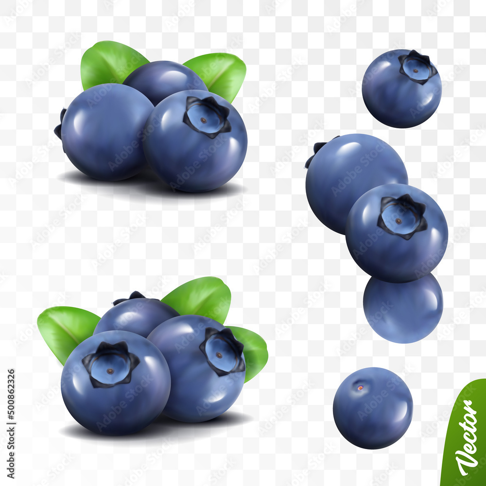 3D逼真蓝莓套装，两堆有叶子的浆果，掉落的越橘