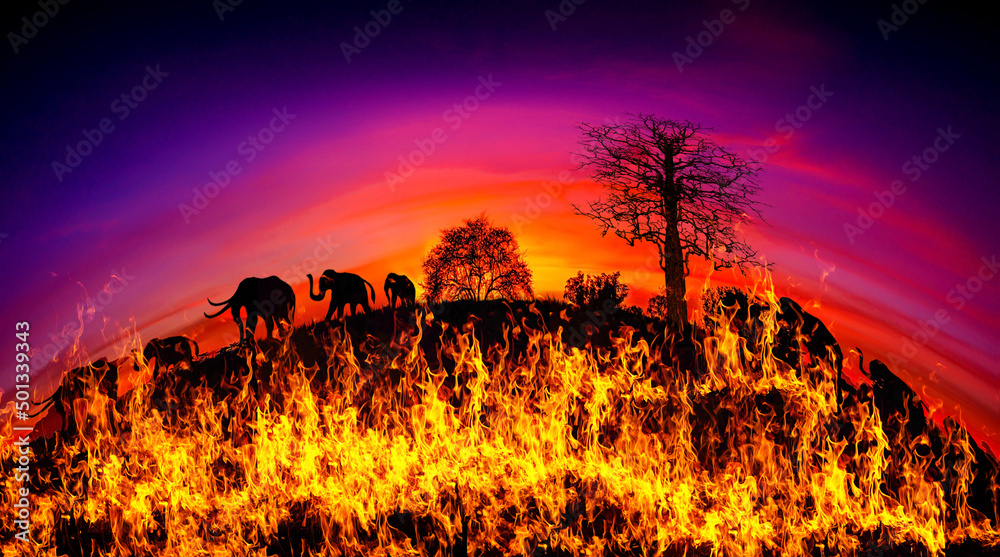 红色背景上的全景火焰。全球变暖概念。抽象的背景火花，深色闪光