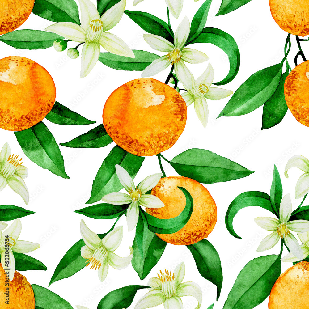 橙色的无缝水彩图案。橙色的橙色，白色背景上的花朵和树叶。