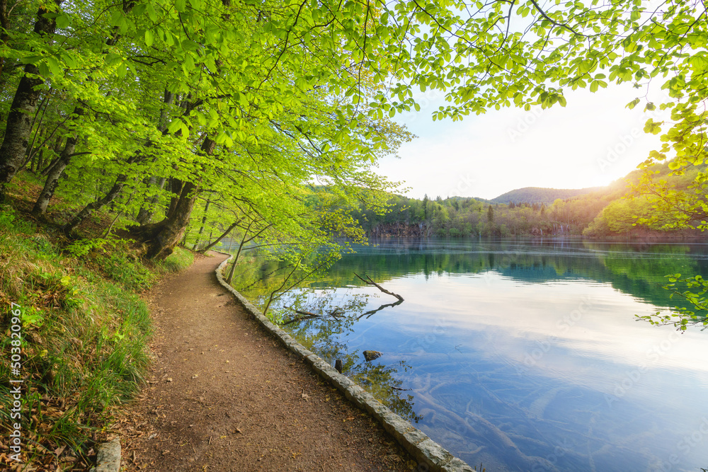 春天日落时，湖边美丽森林中的小路。克罗地亚普利特维斯湖。五颜六色的风景