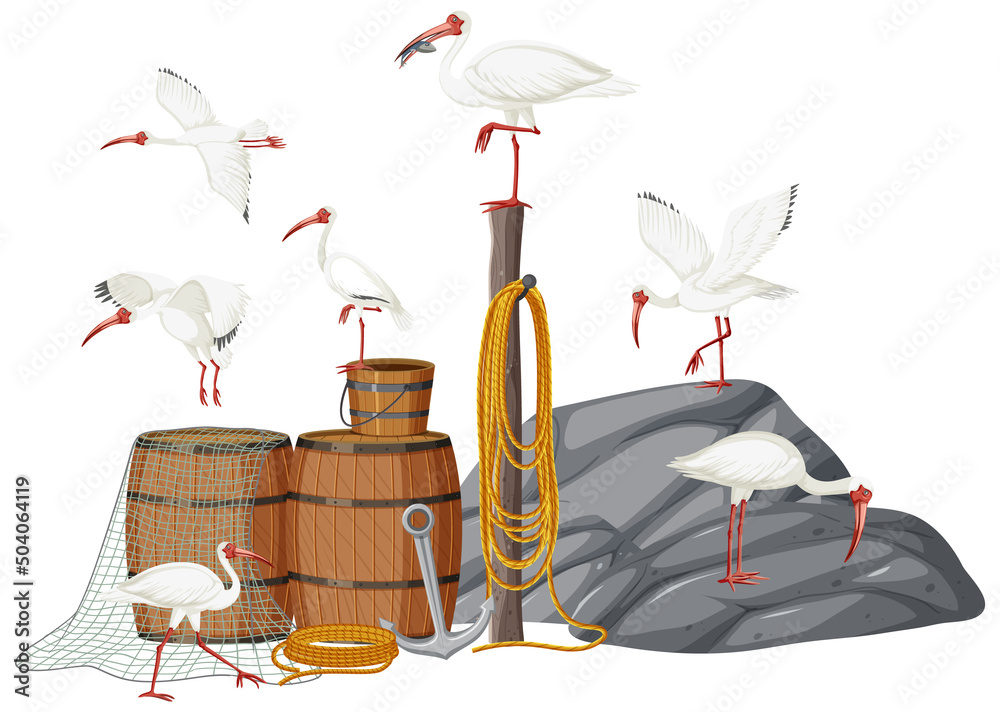 American white ibis group with fishing objects
