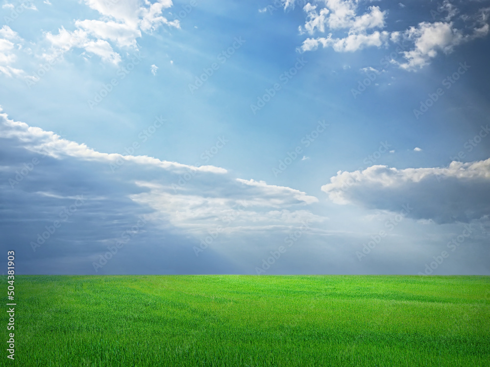 蓝天下绿草如茵，有着引人注目的云朵和阳光，风景背景