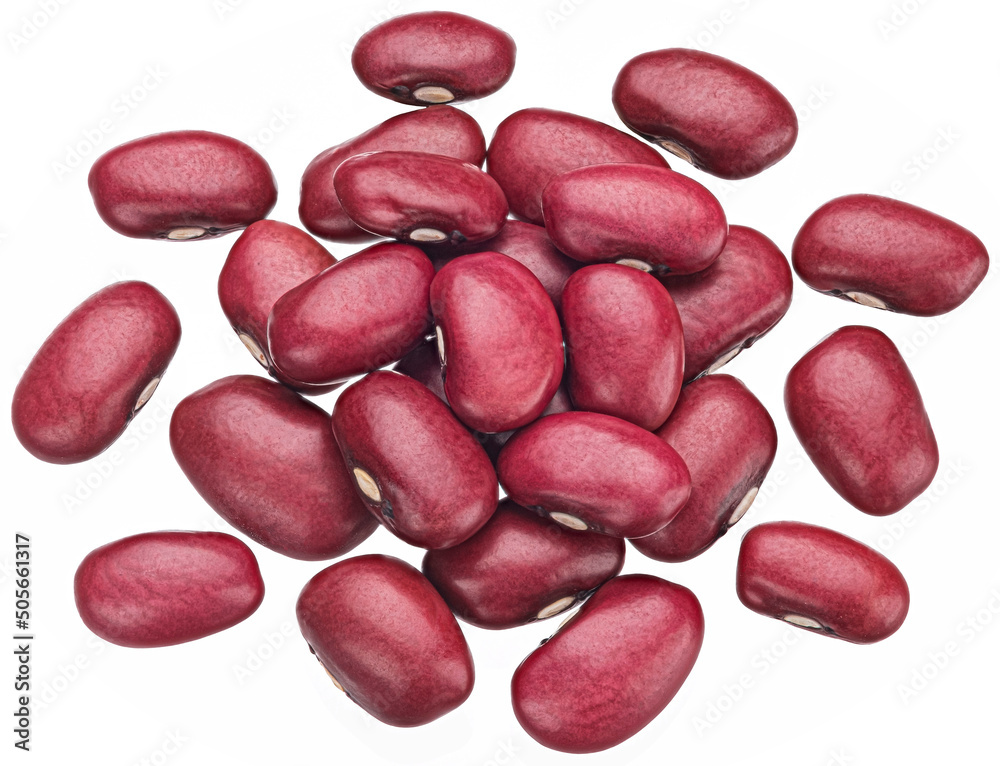 在白色背景下分离的红芸豆，具有剪切路径