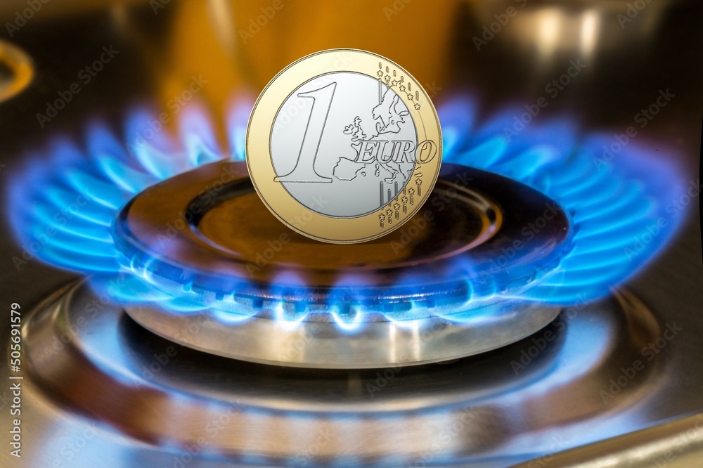 Natural Gas burner flame with euro coin