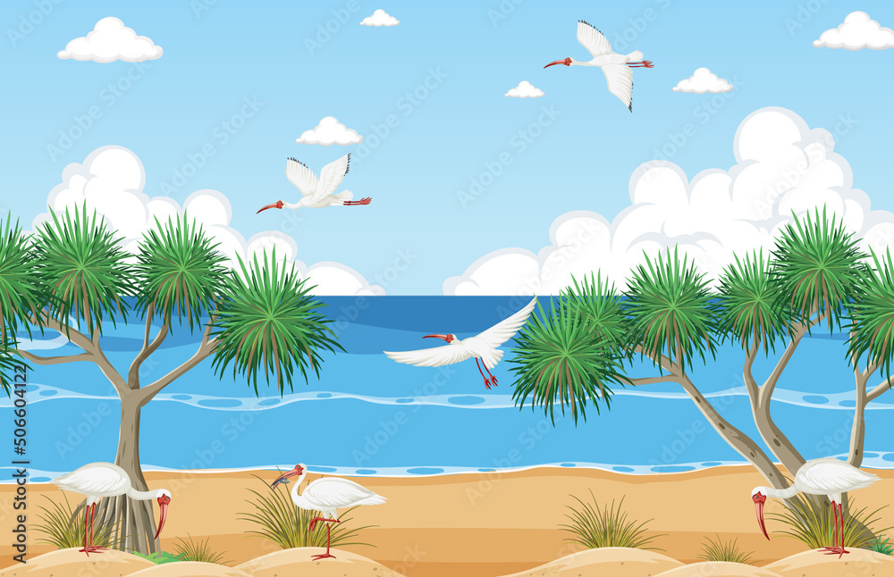 海滩上的白ibis群