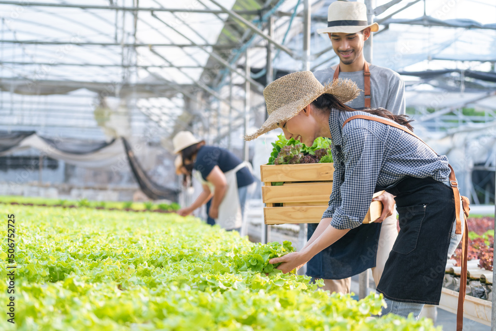 亚洲农民夫妇幸福地在蔬菜水培农场工作