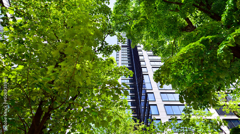 新鲜的绿树和办公楼，商业理念。现代城市理念中的生态建筑。