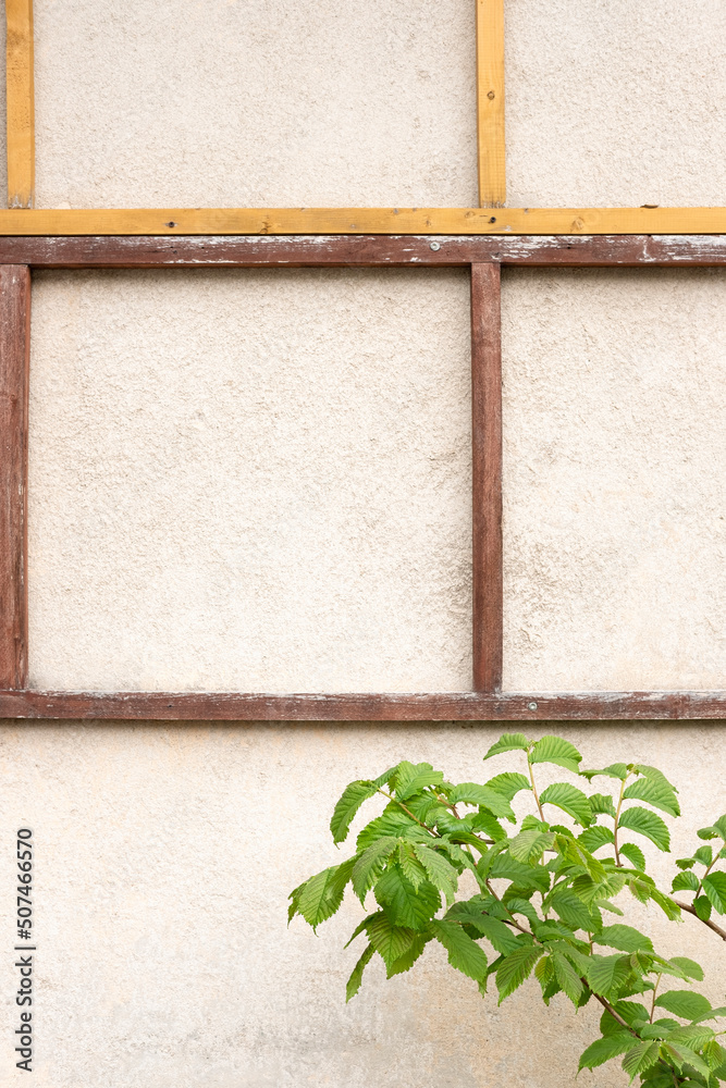 房屋墙壁石头纹理背景。村庄小屋外部，木板和绿色植物。H