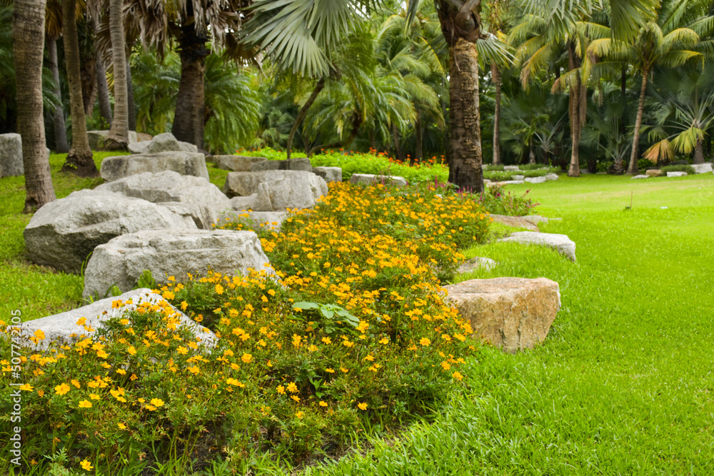 stones decoration and yellows blooming in chathuchack garden park