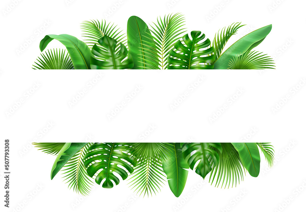 海报带有热带3D逼真的树叶，异国情调的背景。矢量边框有多余的文本位置